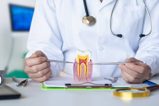 Best Broken Tooth Emergency  in La Follette, TN